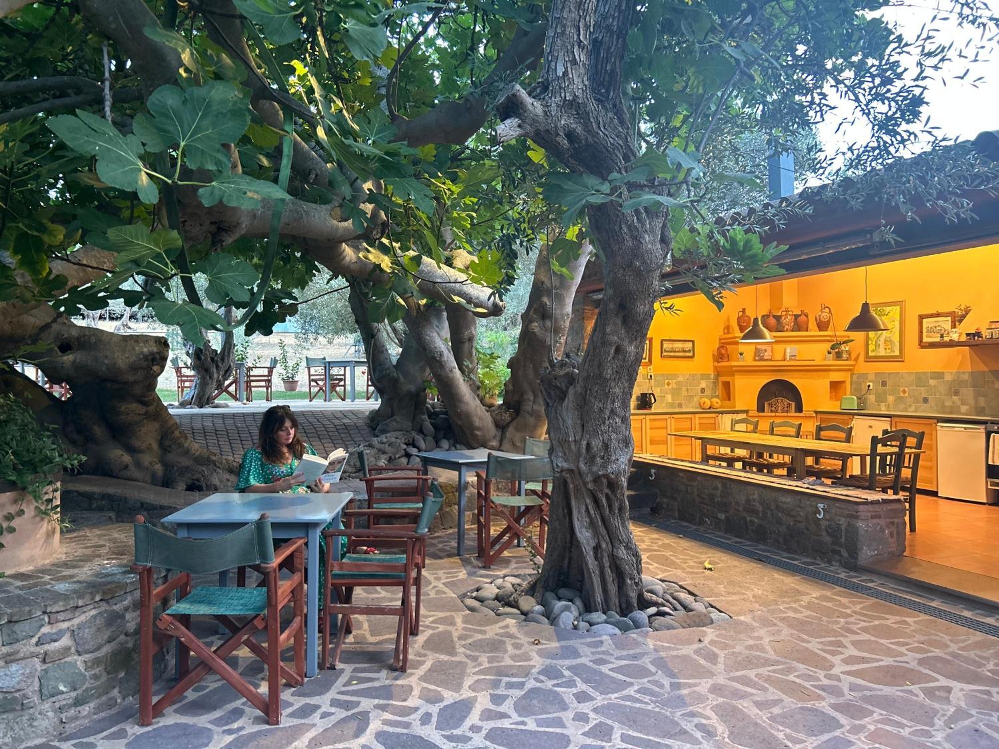Villa Daphnis & Chloe Pyrgi Thermis Exterior foto